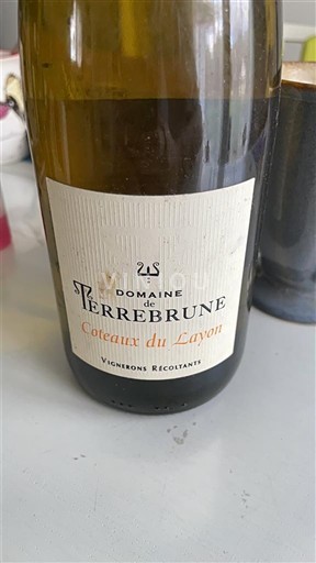 Loire-dalen Coteaux-du-layon Domaine Terrebrune 2020