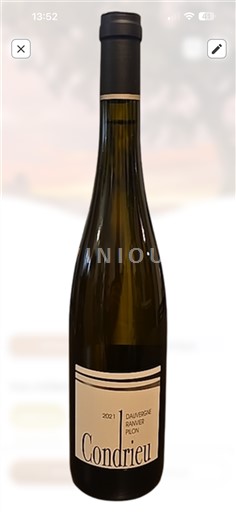 Rhône Valley Condrieu Damevinche Ranvier Pion 2023