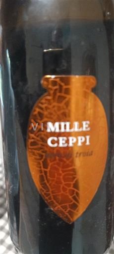 Apulija Ni doloceno Mille Ceppi Troia 2020