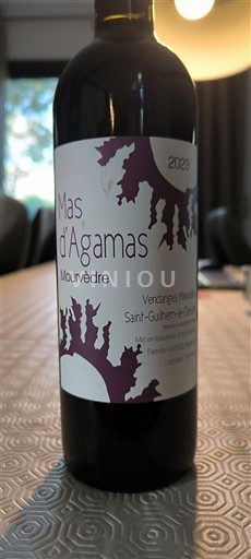 Languedoc et Roussillon Saint-Guilhem-le-Désert Mas d'Agamas Mourvèdre 2023