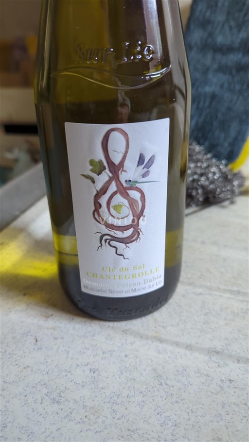Vallée de la Loire Muscadet-sèvre-et-maine Poiron Dabin Clé du Sol Chantegrolle 2023