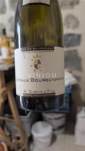 Bourgogne Bourgognebackar R. Dubois & Fils Icke årgångsbetecknad