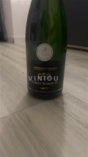 Elsass Crémant d'Alsace Albert Schoech Ohne Jahrgang