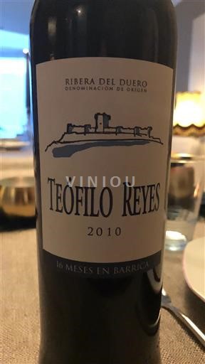 Castile and León Ribera del Duero Teófilo Reyes 2010