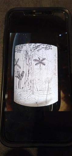 Dolina Loare FOSSE SECHE Il etait une fois 2020