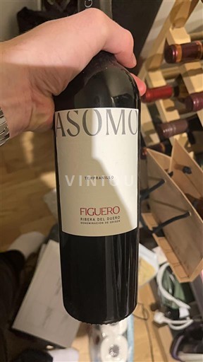 Castile and León Ribera del Duero Figuero FASOMO 2022