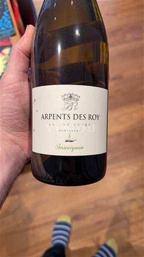 Dolina Loare Arpents des Roy Sauvignon 2022