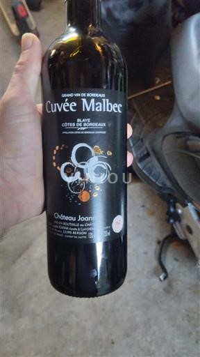 Burdeos Blaye-Côtes de Burdeos Château Joanin Malbec Sin añada