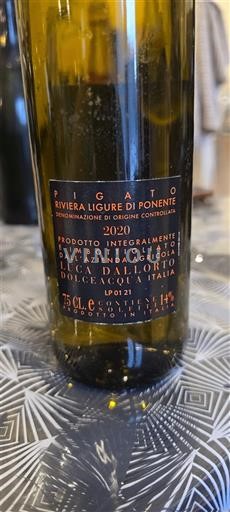 Ligurian maakunta Ponente Ligurian Riviera Azienda Agricola Luca Dall'Orto Pigato 2020