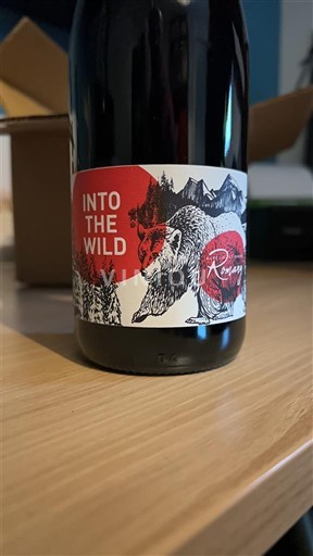 Beaujolais Aurelie et Fabien Romary Into The Wild 2023