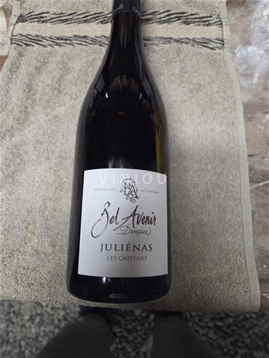 Beaujolais Juliénas Domaine Bel Avenir Les Capitans 2019