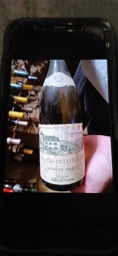 Burgundi Chablis Premier Cru Billaud-Simon Mont de Milieu 2015