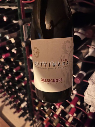 Piemonte Gattinara Delsignore il putto 2020