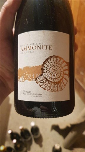 Beaujolais Domaine Champ Fleury Ammonite 2021