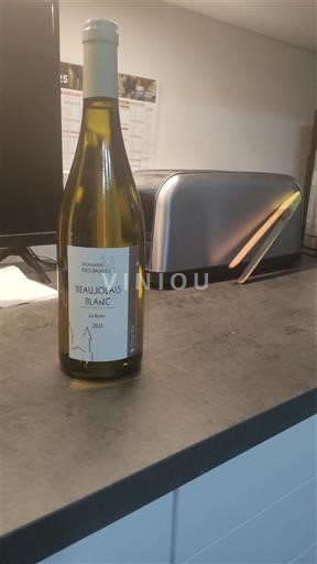 Beaujolais Ikke specificeret Domaine Les Braves 2023