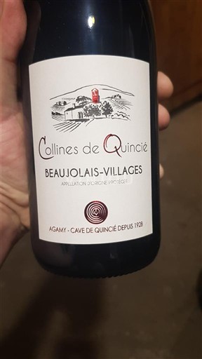 Beaujolais Beaujolais Villages Cave de Quincié Collines de Quincié 2021