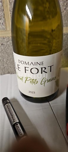 Languedoc Nespecifikováno Domaine Le Fort Muscat Petits Grains 2023