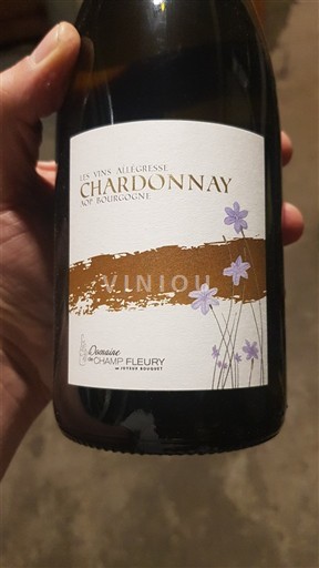 Bourgogne Domaine Champ Fleury Les Vins Allégresse 2024