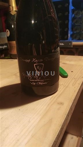 Bourgogne Nuits-Saint-Georges Domaine Xavier Durand Les Charmois 2021