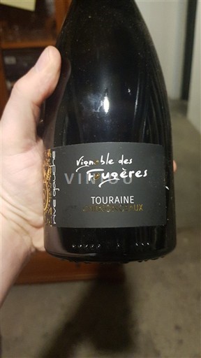 Dolina Loare Touraine Vignoble des Fougères Rive Gauche 2021
