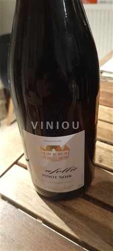 Dolina Loare Bardon vigneron Lafollie Neleten.