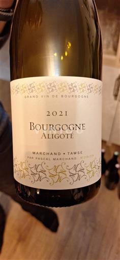 Burgundi Bourgogne Aligoté Marchand-Tawse 2021