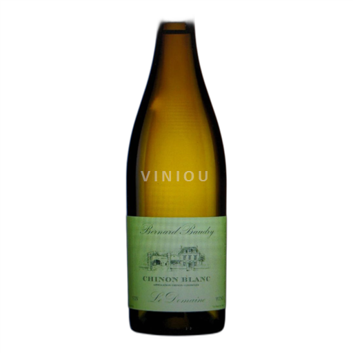 Údolí Loiry Chinon Bernard Baudry Le Domaine 2021