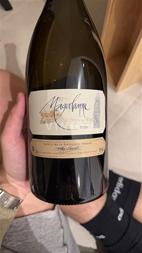Valle del Ródano Côtes del Ródano Magatame 2024