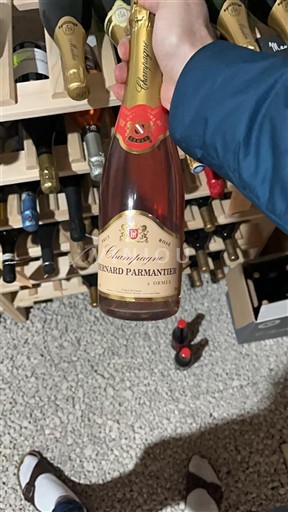 Šampanja Šampanjec Bernard Parmentier Neleten.