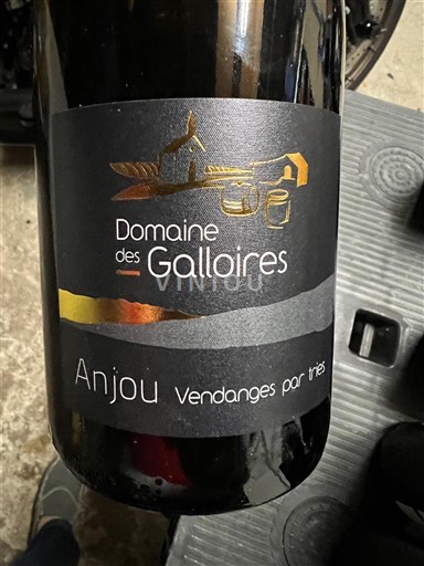 Valle del Loira Anjou Domaine S Galloïres Vendanges par triés 2024