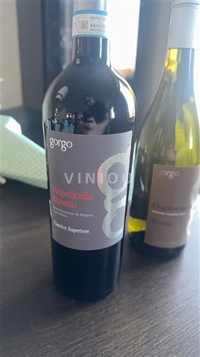 Véneto Valpolicella Ripasso Gorgo 2023