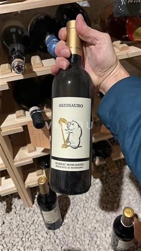 Istrien Buje Sanmauro Muscat 2020