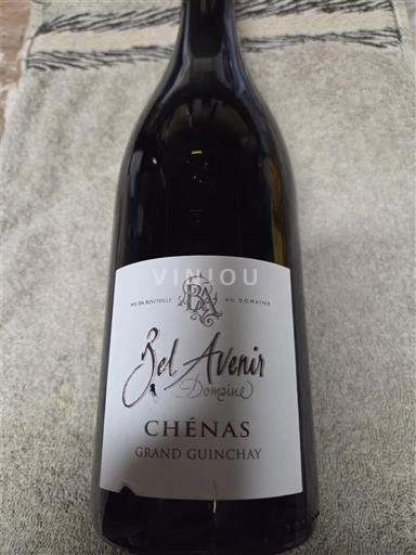 Beaujolais Chénas Domaine Bel Avenir Grand Guinchay 2018