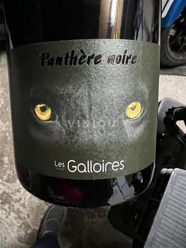 Vallée de la Loire Anjou Domaine Des GalloIres Panthère noire 2023