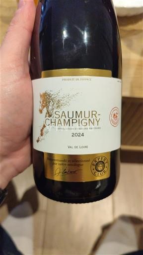 Loiren laakso Saumur-champigny SAUMUR CHAMPIGNY 2024