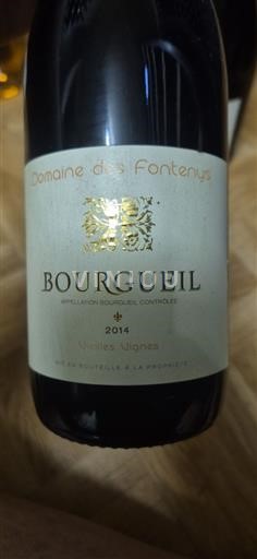 Vale do Loire Bourgueil Domaine Des Fontenys Vieilles Vignes 2014