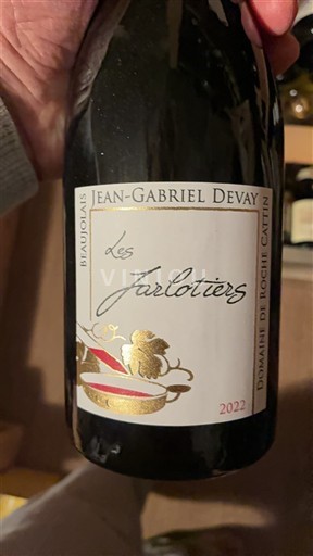 Beaujolais Jean-Gabriel Devay Les Jarlotiers 2022
