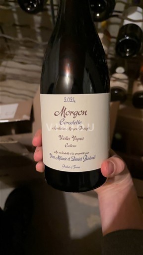 Beaujolais Morgon Mélanie et Daniel Bouland Corcelette Vieilles Vignes 2024