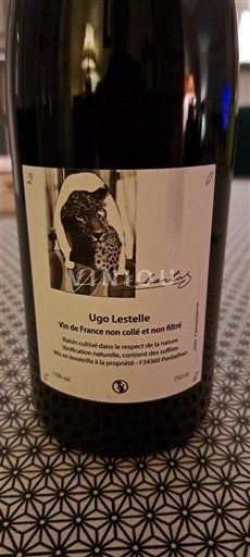 Languedoc Saint-Chinian Ugo Lestelle Désenchantés 2022