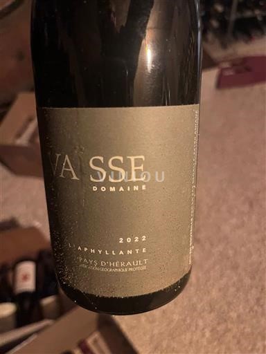 Languedoque Não especificado Domaine Vasse L’Aphyllante 2022