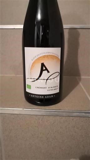 Alsace Alsace-kuohuviini Antoine Adam 2023