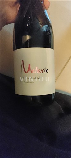 Loirevallei Niet gespecificeerd Melaric Le Tandem Niet-geïntegreerd