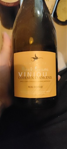 Valle della Loira Coteaux-d'Ancenis Domaine Haut-Brune 2023