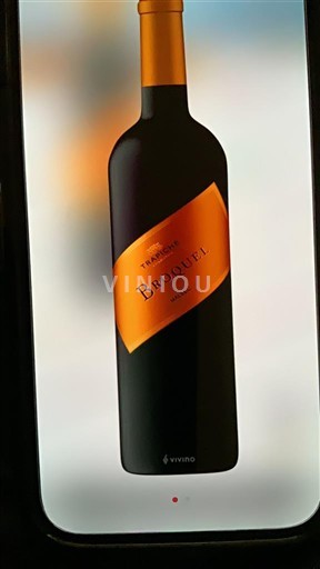 Mendoza Trapiche Broquel 2023