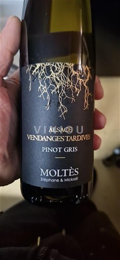 Alsace Moltès Pinot Gris Ei vuosikertaa