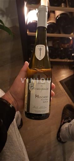 Loiren laakso Muscadet Domaine BEAUREPAIRE 2023