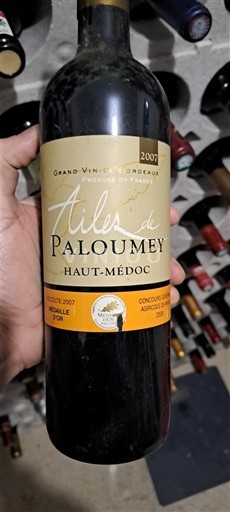Bordeaux Haut-Médoc Ailes de Paloumey 2007