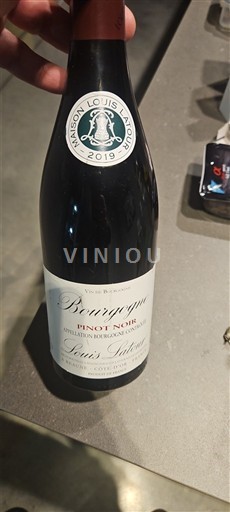 Vine Rouge sec Pinot Noir Louis Latour 2019 Frankrig Bourgogne AOC