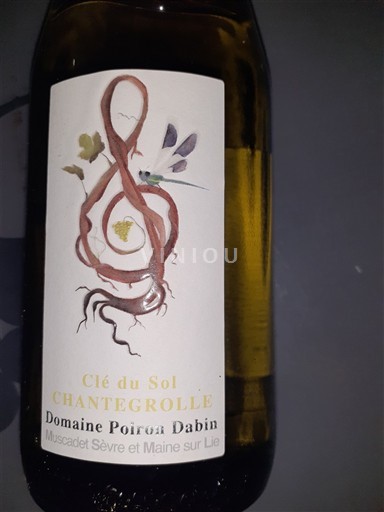 Loire-dalen Ikke specificeret Domaine Poiron Dabin Clé du Sol Chantegrolle Ikke årgangsbestemt