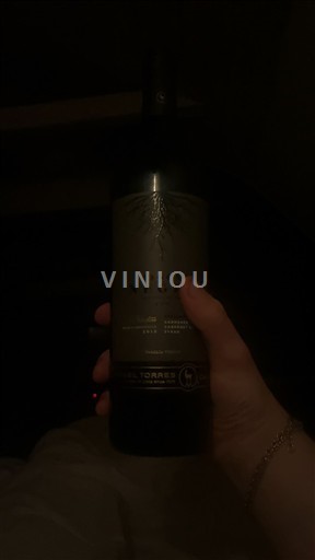 Katalonien Penedès Torres Habla Negro 2018